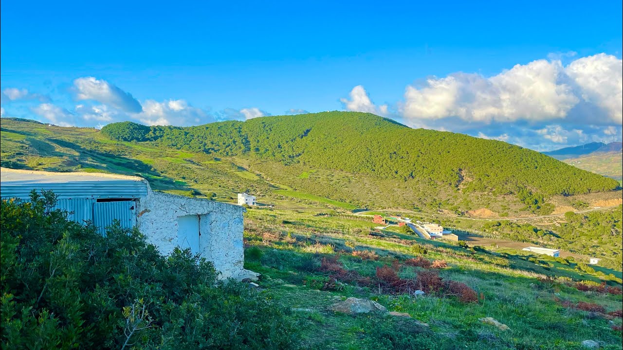 دار وارض كبيرة مساحة 5هكتار فيها كوري وجوج بيور0703640826نواحي ملوسة طنجة