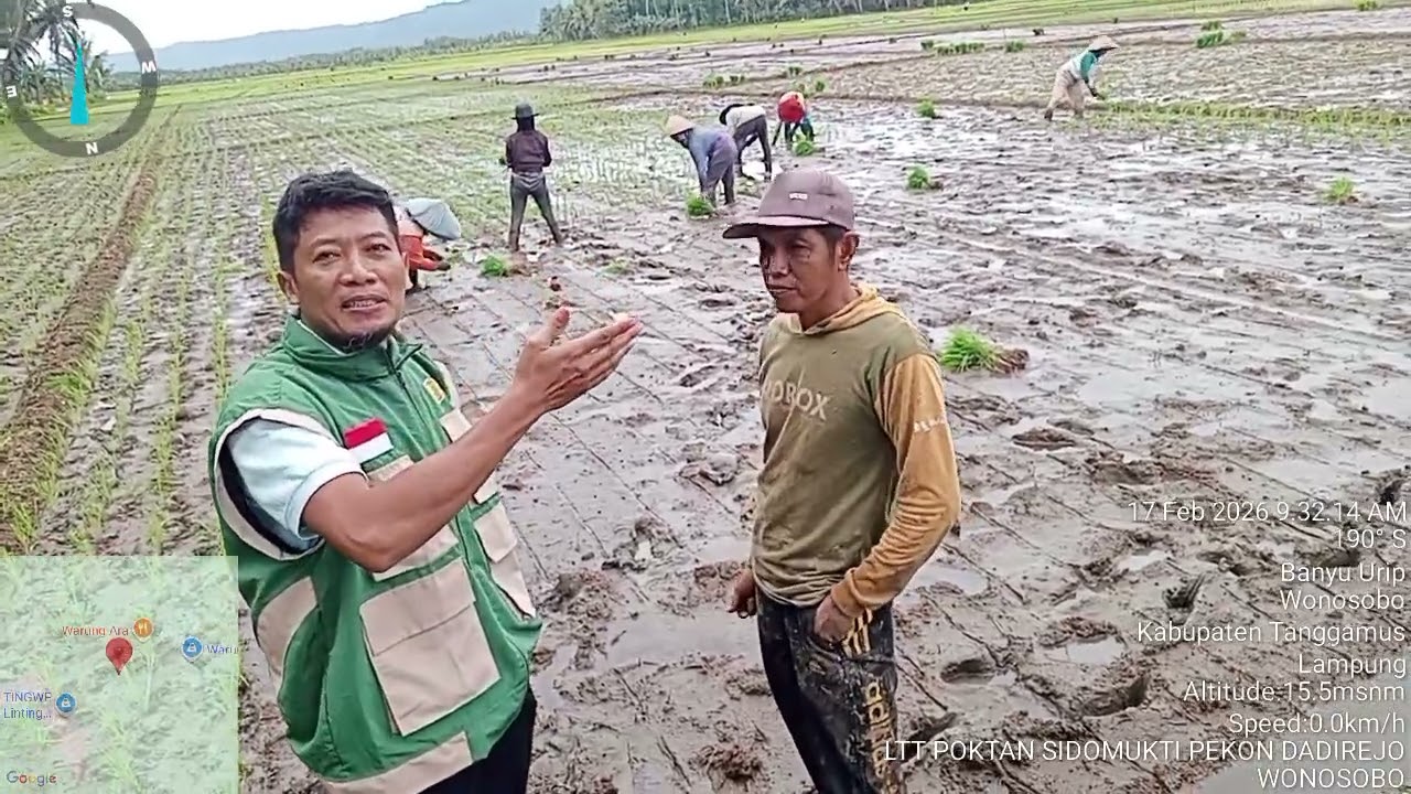 Tandur tak kenal hari Libur. Salam interaksi dari Poktan Sidomukti Pekon Dadirejo Wonosobo.