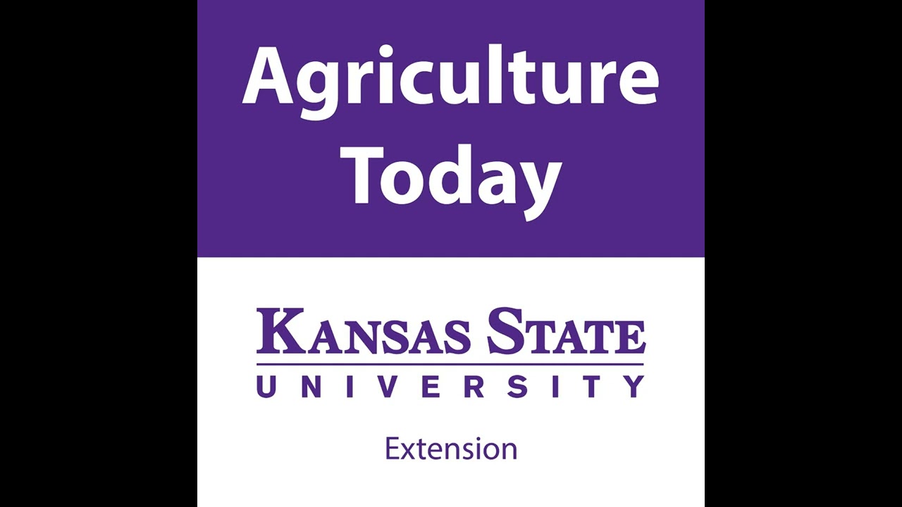 2138 - Kansas Commodities...Grain Market Economics and Impacts
