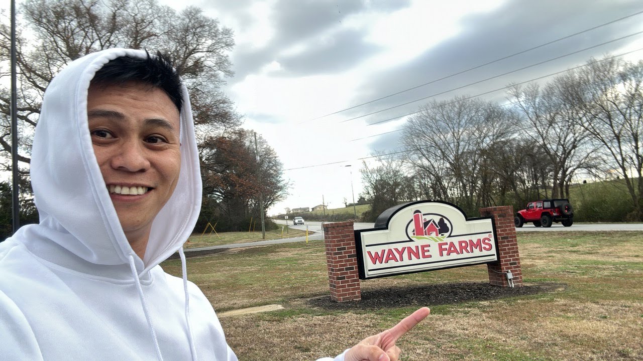Hãng gà Wayne & Koch ở Pendergrass tiểu bang Georgia