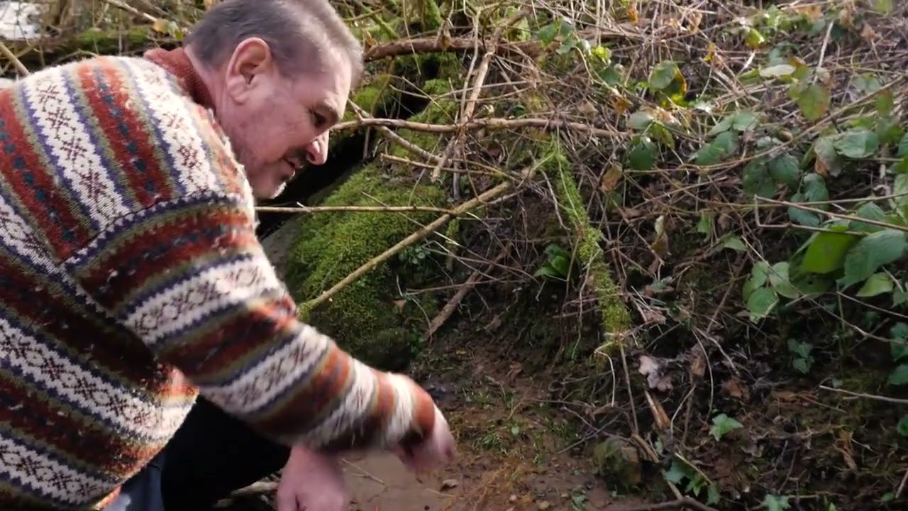 Promonature présente... Les plantes Eco-indicatrices - Episode 3: L'ail des ours