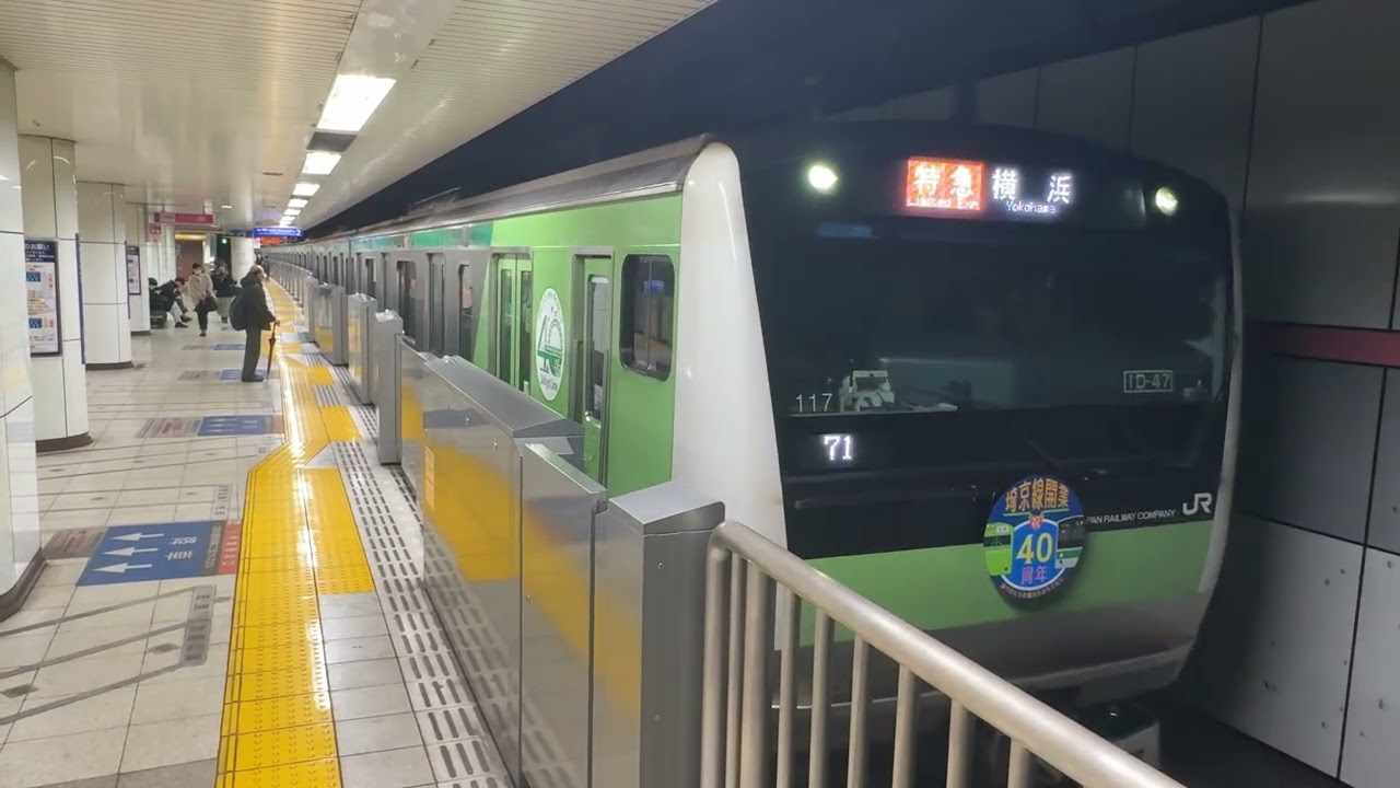 平日71代走　JR東日本E223系7000番台ハエ117編成特急横浜行き大和駅2番線から発車！
