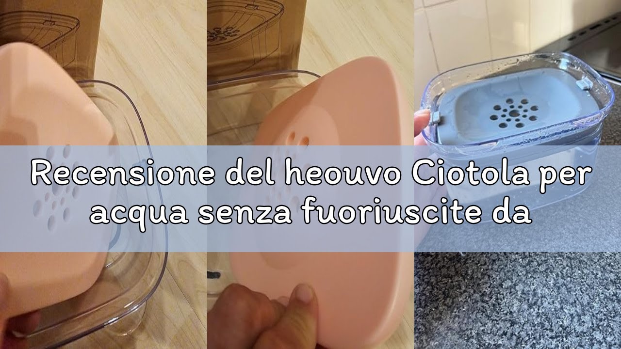 Recensione del heouvo Ciotola per acqua senza fuoriuscite da 2,5 l, grande a prova di perdite, eroga
