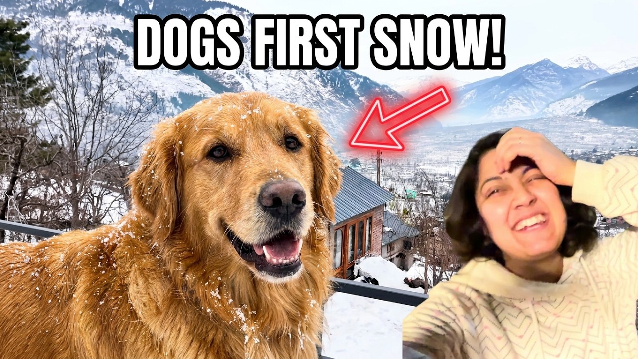 First Heavy Snowfall in Manali 2026 ❄️ 2AM Road Trip | Manali Mall Road Snow | Solang Valley | Sissu