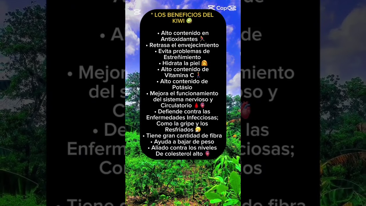 28 de diciembre de 2025