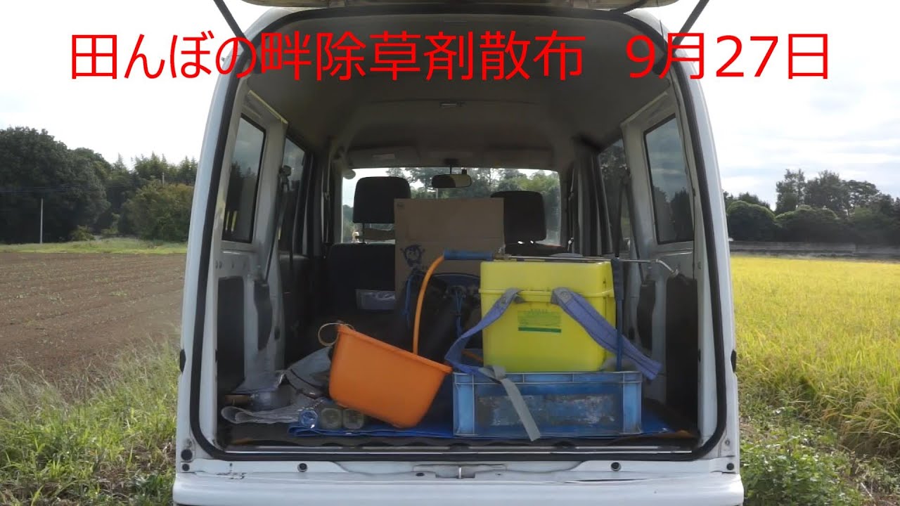 田んぼの畔除草剤散布　9月27日