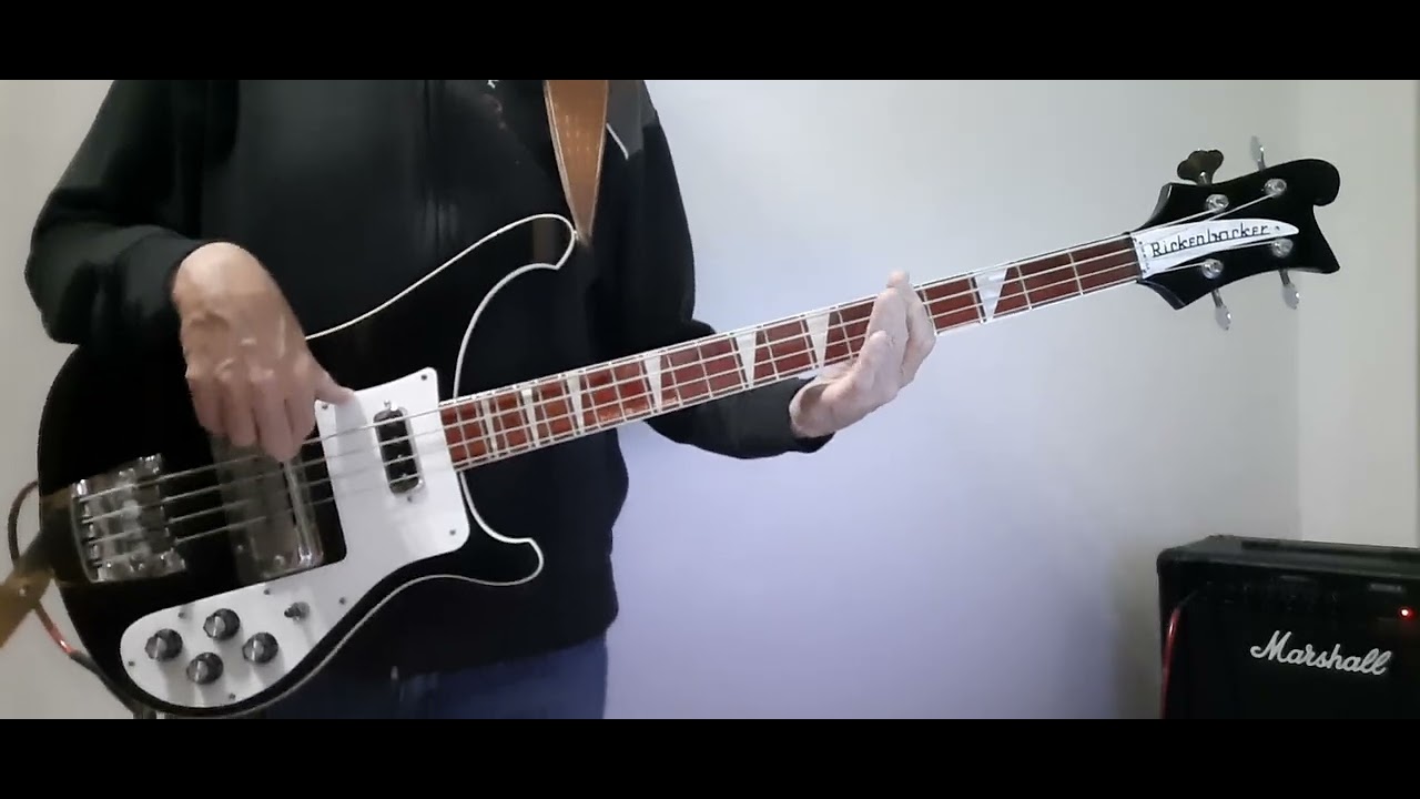 Game - Disturbance/We Turn to You - Bass Cover 