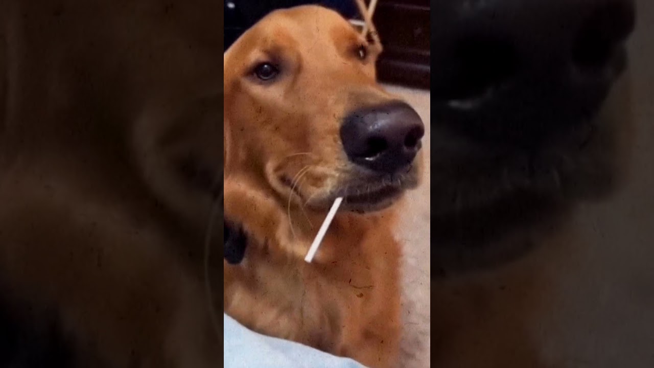 um choro sincero