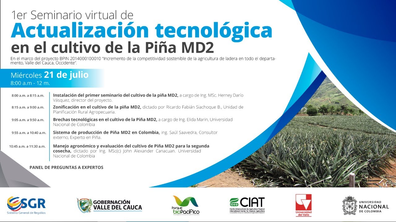1er Seminario virtual de Actualización Tecnológica en el Cultivo de Piña MD2