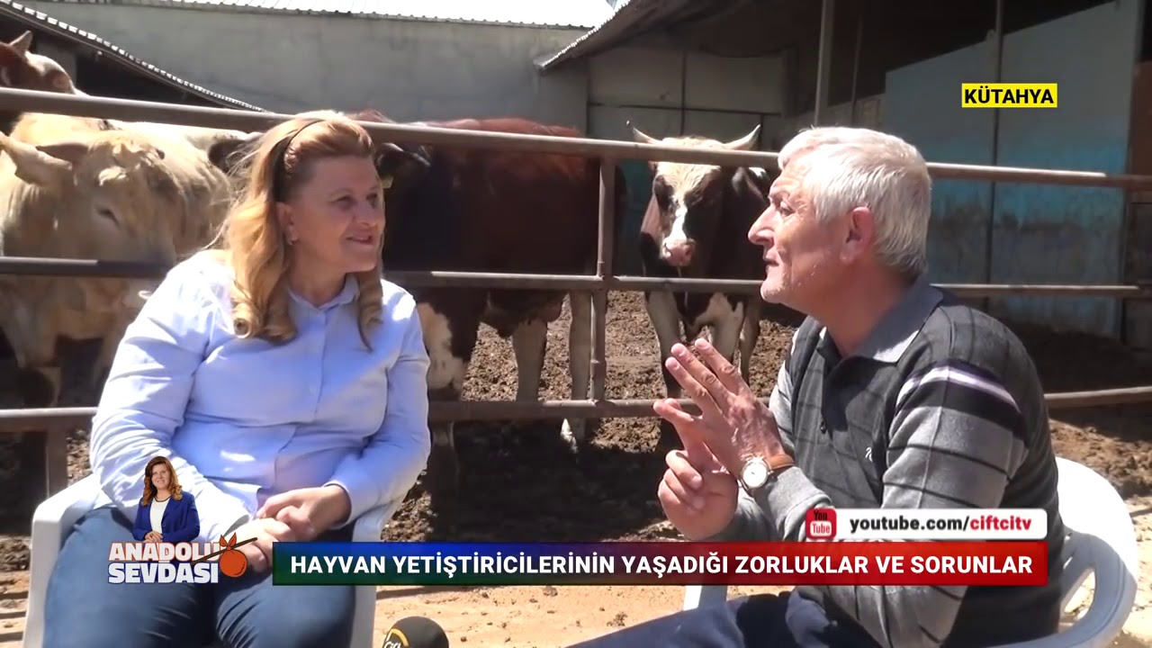 ANADOLU SEVDASI KÜTAHYA PARMAKÖREN