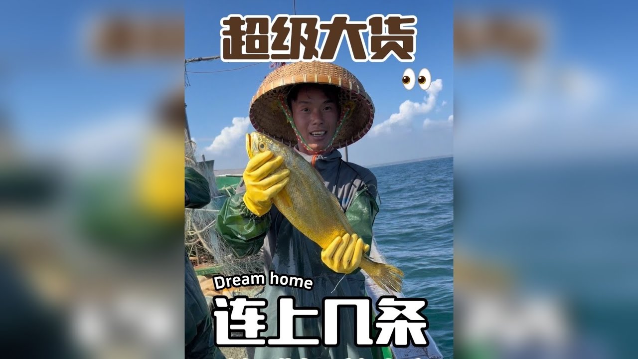 是什么原因？到底是什么原因？一下连上几条、黄花鱼为什么发白？