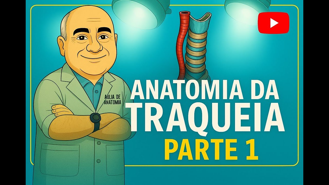 ANATOMIA DA TRAQUEIA  - PARTE 1