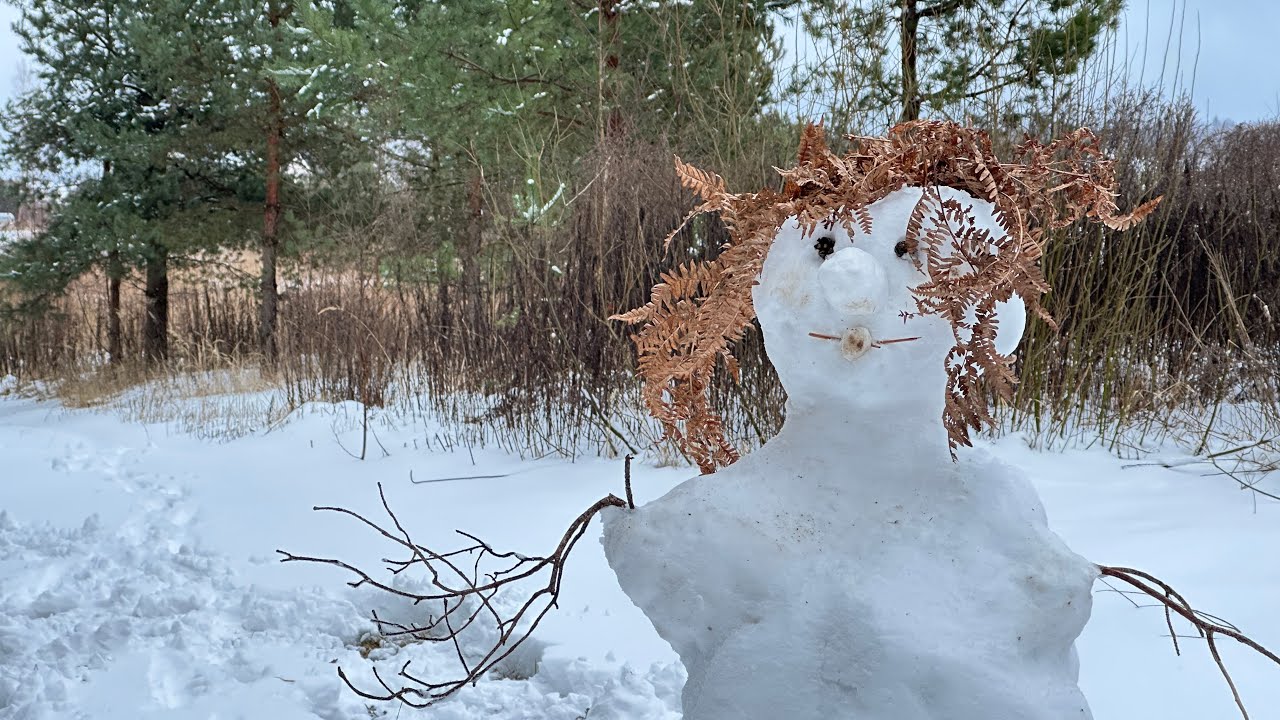 Built a Snowman That Came to Life! ❄️😃