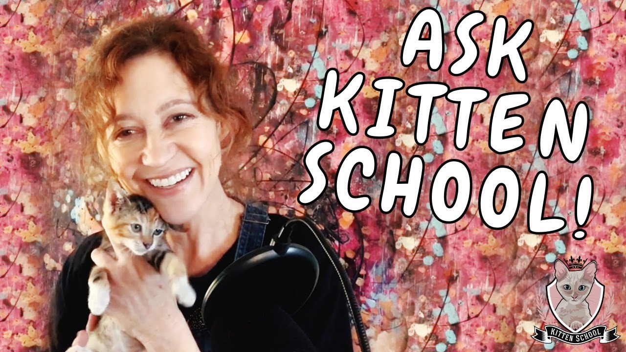 Do Your Cats HATE Your Foster Kittens? Ask Kitten School!