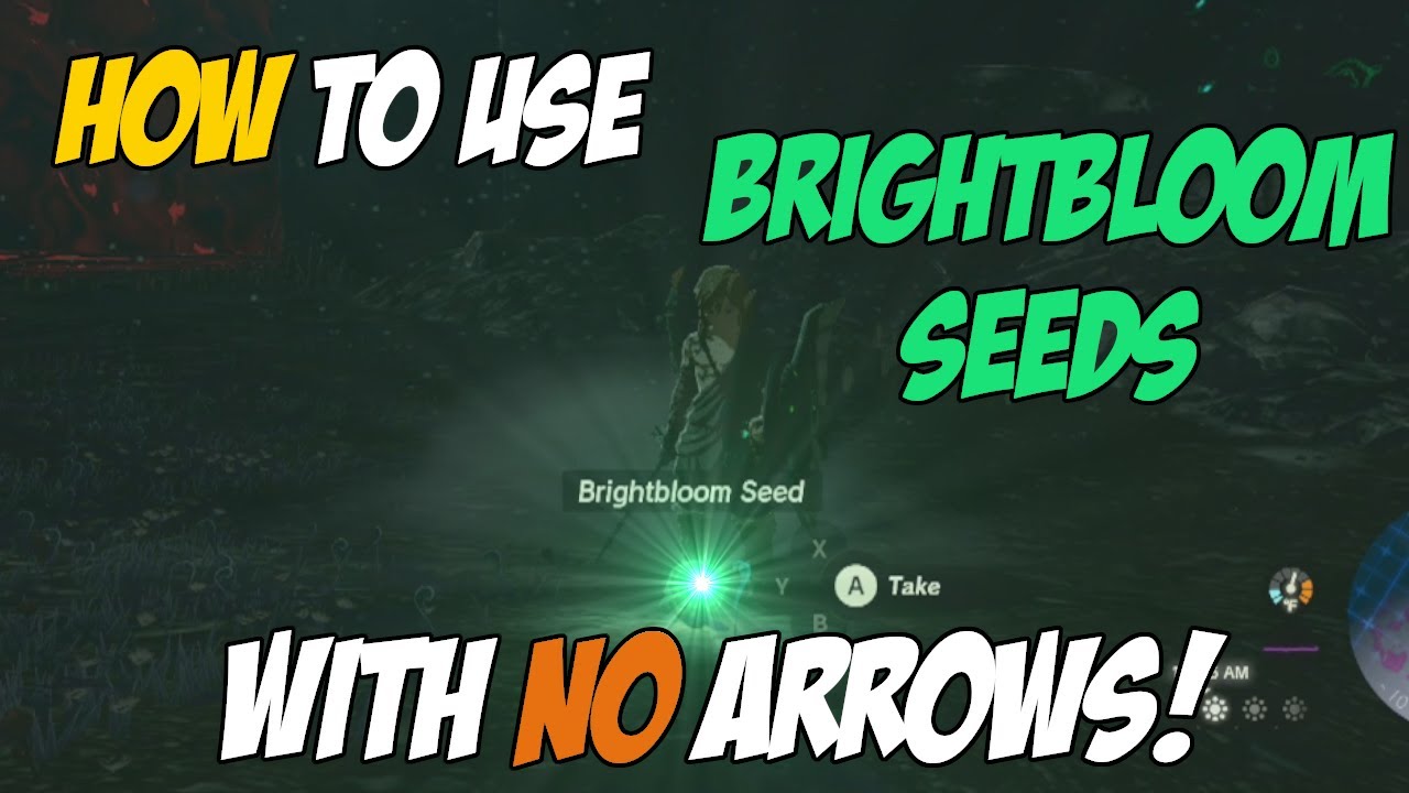 How to use Brightbloom Seeds with NO arrows in Zelda Tears of the Kingdom