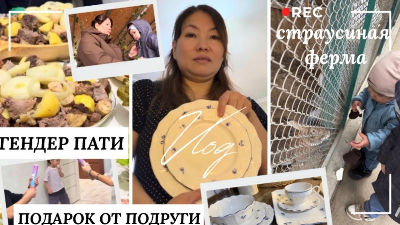 VLOG🎬155/подарок от подруги/попали на гендер пати друзей/на страусиной ферме с детьми
