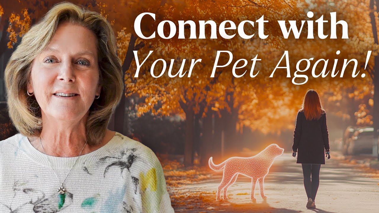 Love Never Dies: How to Form a New Relationship With Your Pet in Spirit