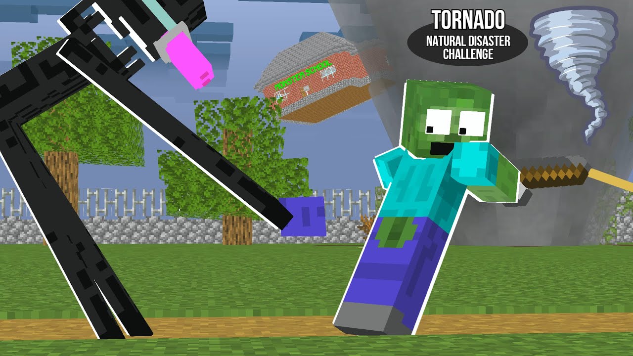 TORNADO NATURAL DISASTER CHALLENGE - Animation