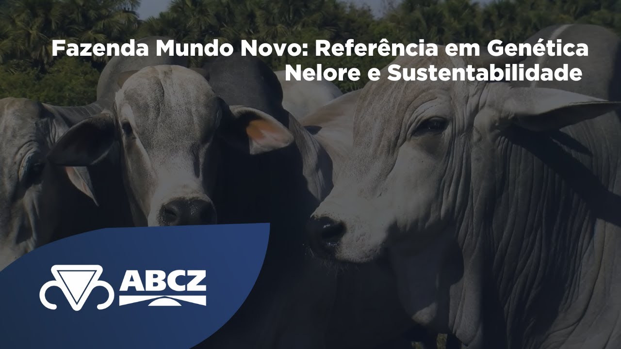 Fazenda Mundo Novo: Referência em Genética Nelore e Sustentabilidade no Triângulo Mineiro