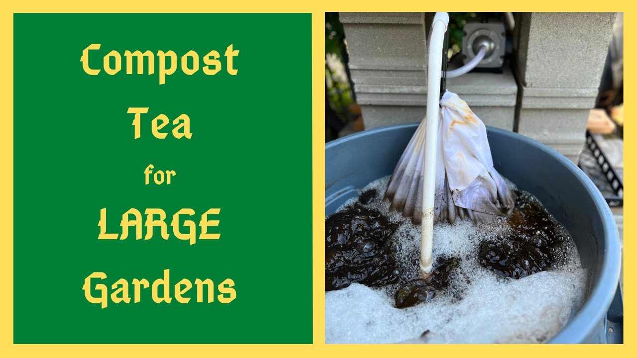 DIY Aerated Compost Tea Brewer: Step By Step Guide For a THRIVING Garden