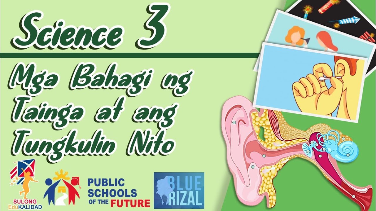 Mga Bahagi ng Tainga at ang Tungkulin Nito | SCIENCE 3 ||K12 Video Lesson SUlong Edukalidad