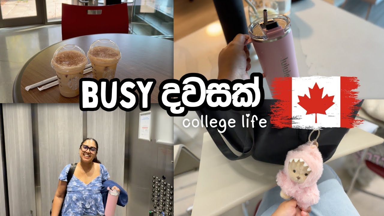 තවත් busy දවසක් 🇨🇦 | Back to School | Canada Life Sri Lankan #canada #sinhala