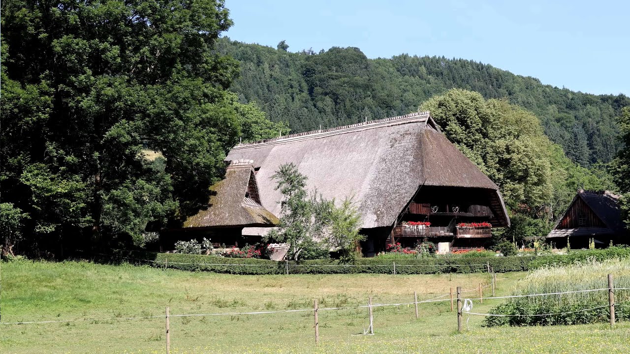 GUTACH Schwarzwälder Foresta Nera Germania video 4k con musica by Ph Leonardo S  C