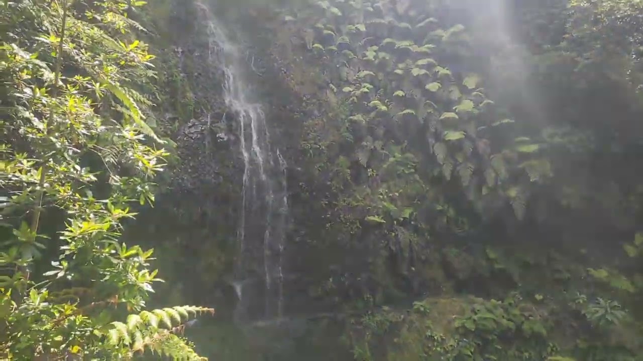 Madeira &mdash; PR9.1 Levada do Caldeir&atilde;o Verde