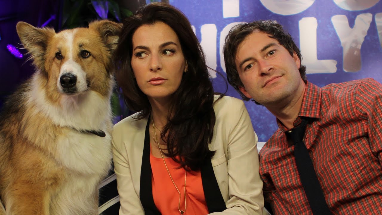 Meet Kasey the Dog, Hollywood's New 