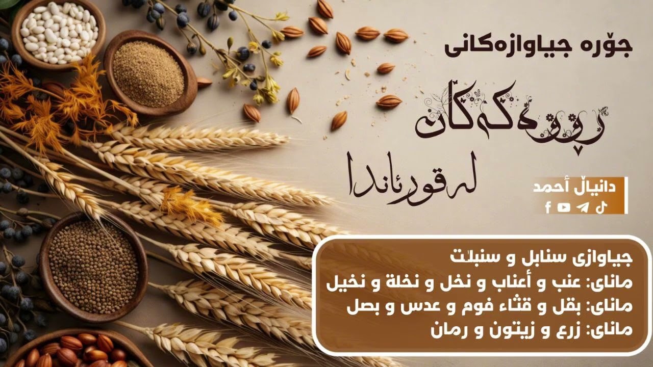 جۆرە جیاوازەکانی ڕووەکەکان لەقورئاندا