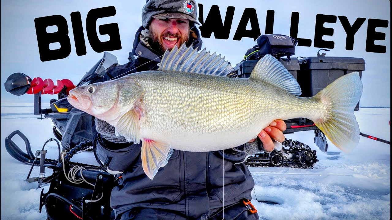 Ice Fishing GIANT Walleyes! UNREAL BITE!