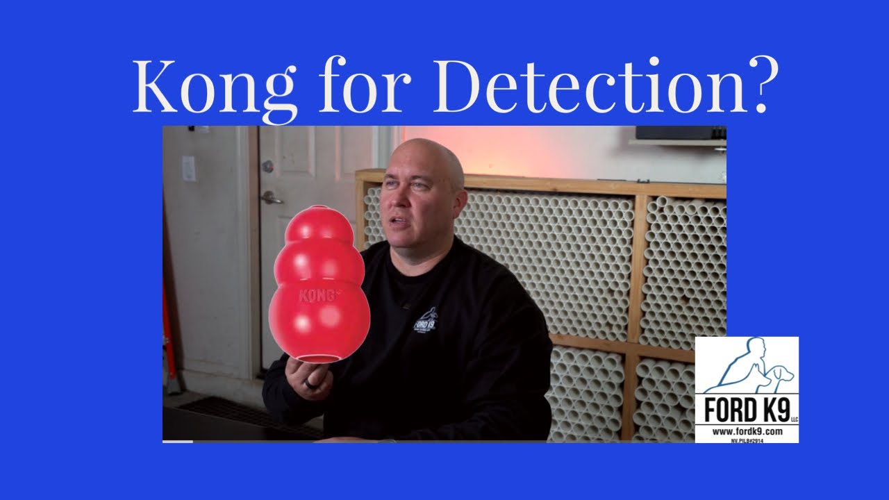 Teaching Detection using the Kong
