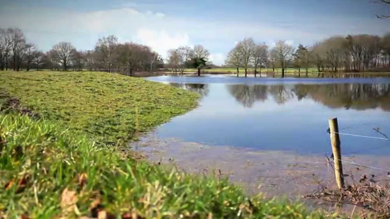 Dwingelderveld,   waterberging in natuurgebieden