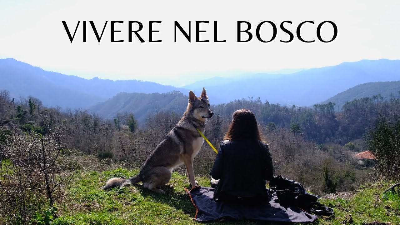 Vivere nel BOSCO tra piaceri e doveri - Facciamo un pò di scorte!