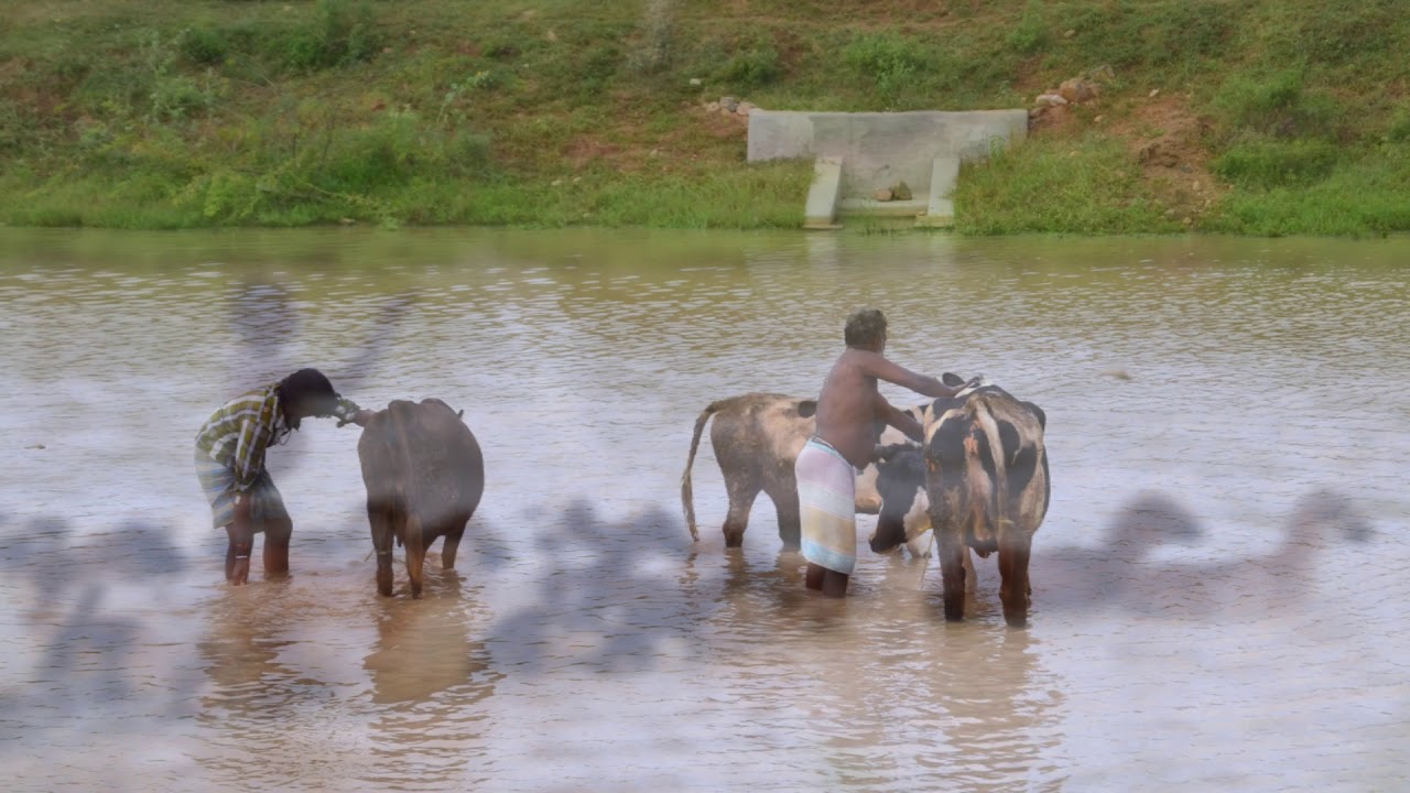 Nalatinputhur - our village