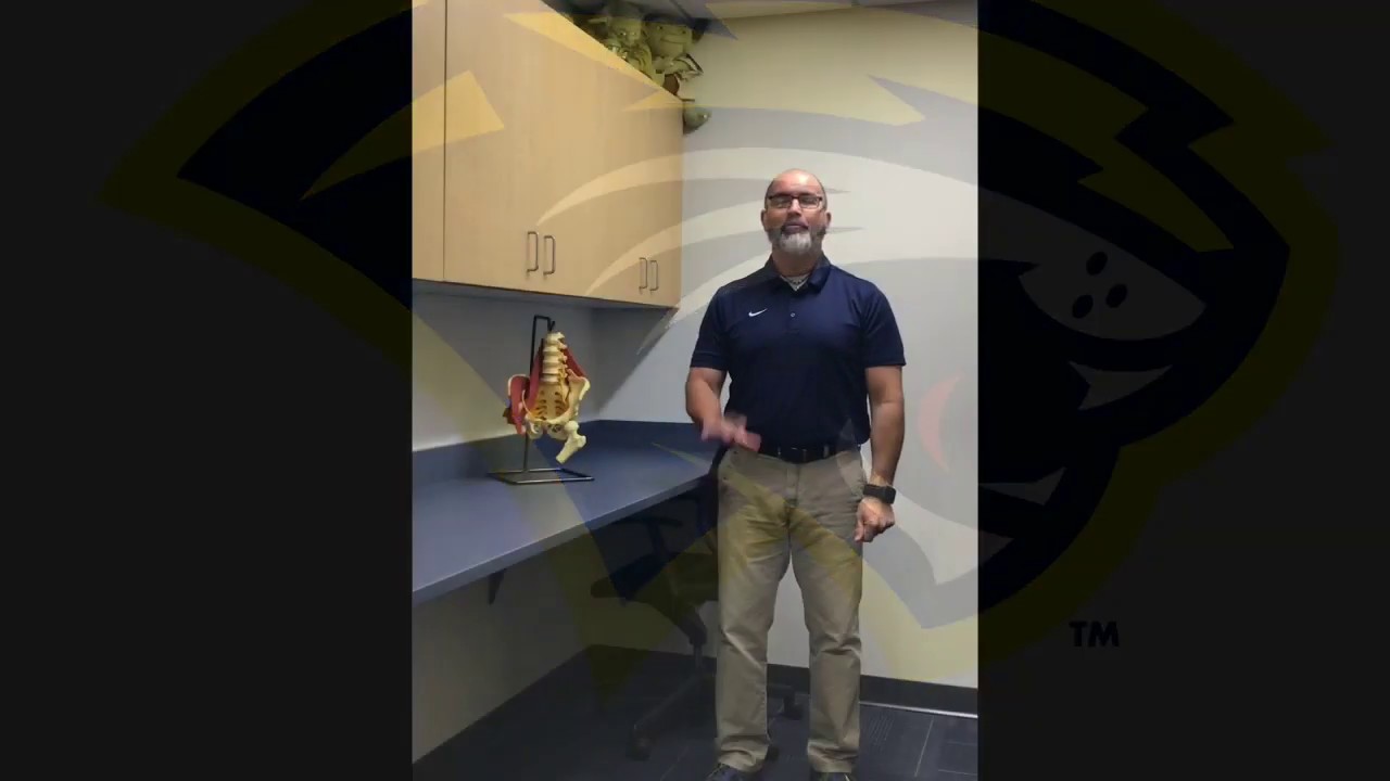 Principles of Strain Counter-Strain