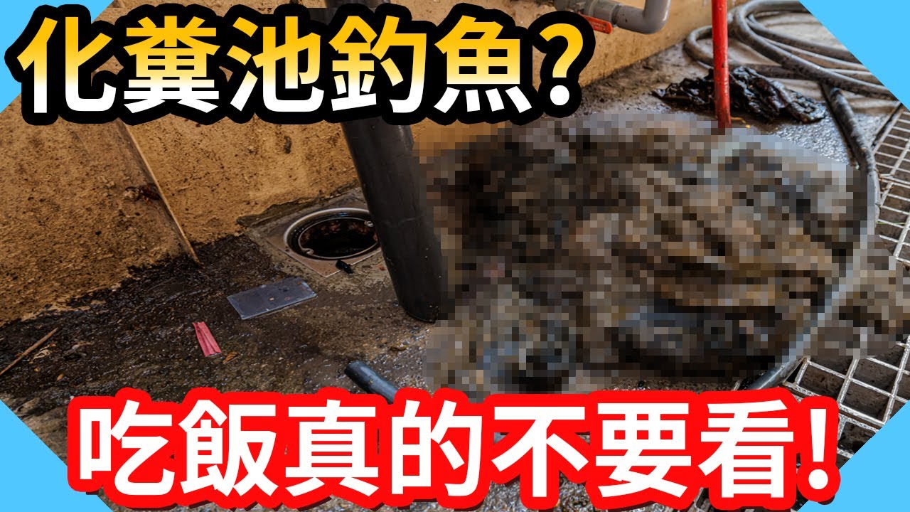 這個化糞池太恐怖!絕對無碼吃飯中千萬不要看!!｜漏水法官到場番外篇【水電爸爸】