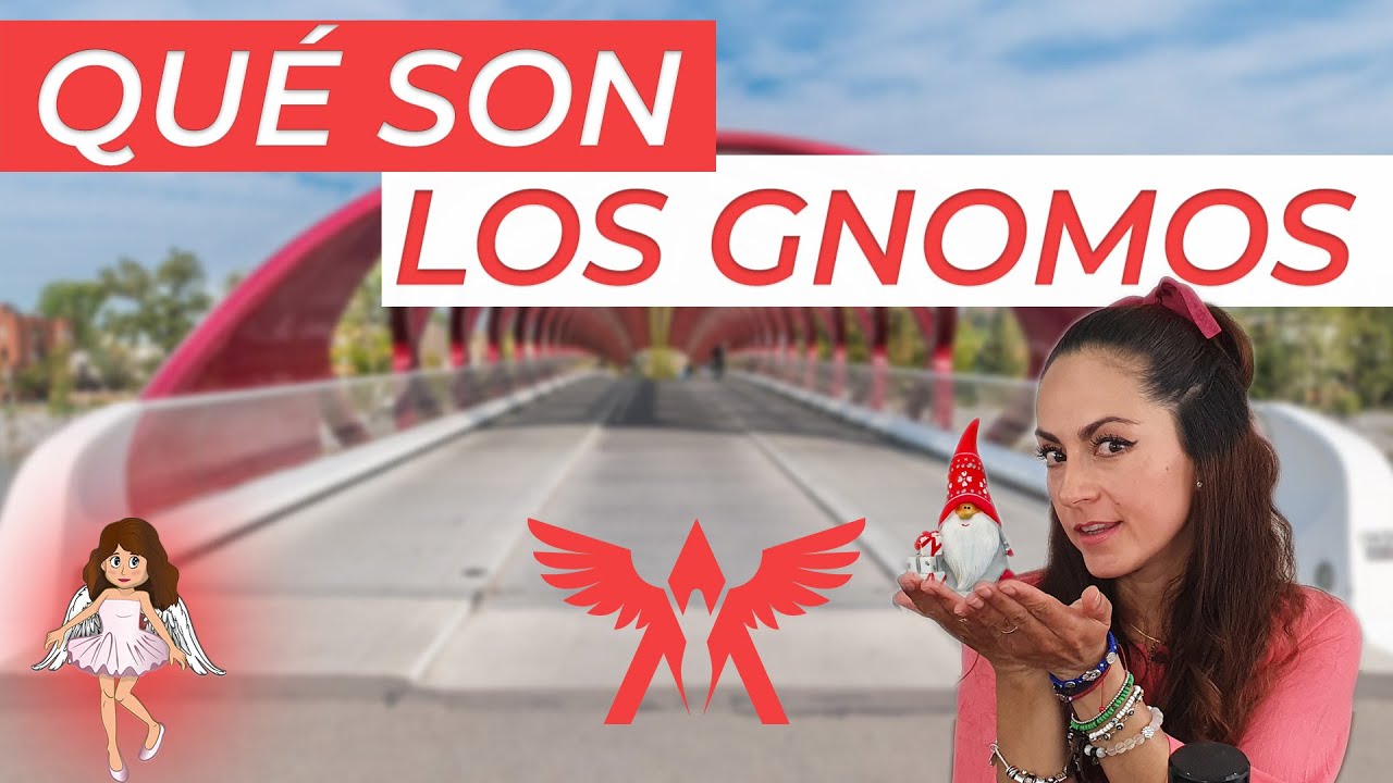 👼Qué son los GNOMOS?👼