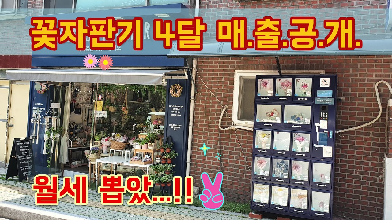 꽃자판기 4달 운영 매.출.공.개 / 꽃 자판기 Q&A