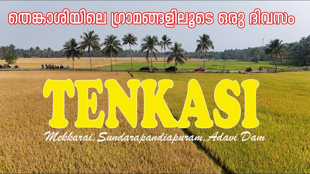 തെങ്കാശിയിലെ മേക്കരൈ ഗ്രാമവും അടവി നൈനാർ ഡാമും |THENKASI (തെങ്കാശി )