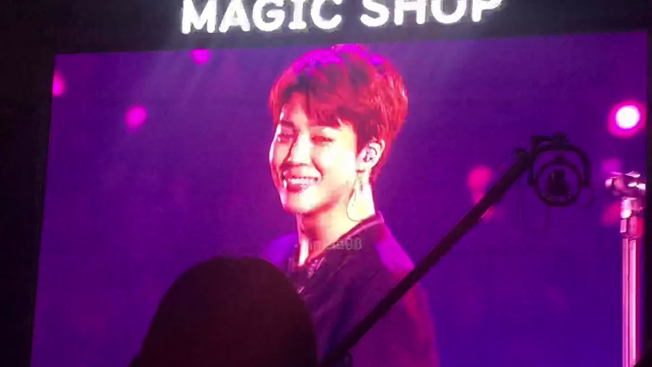 Intro: Skool Luv Affair + Dimple @ BTS 5th Muster in Seoul Day 2 190623