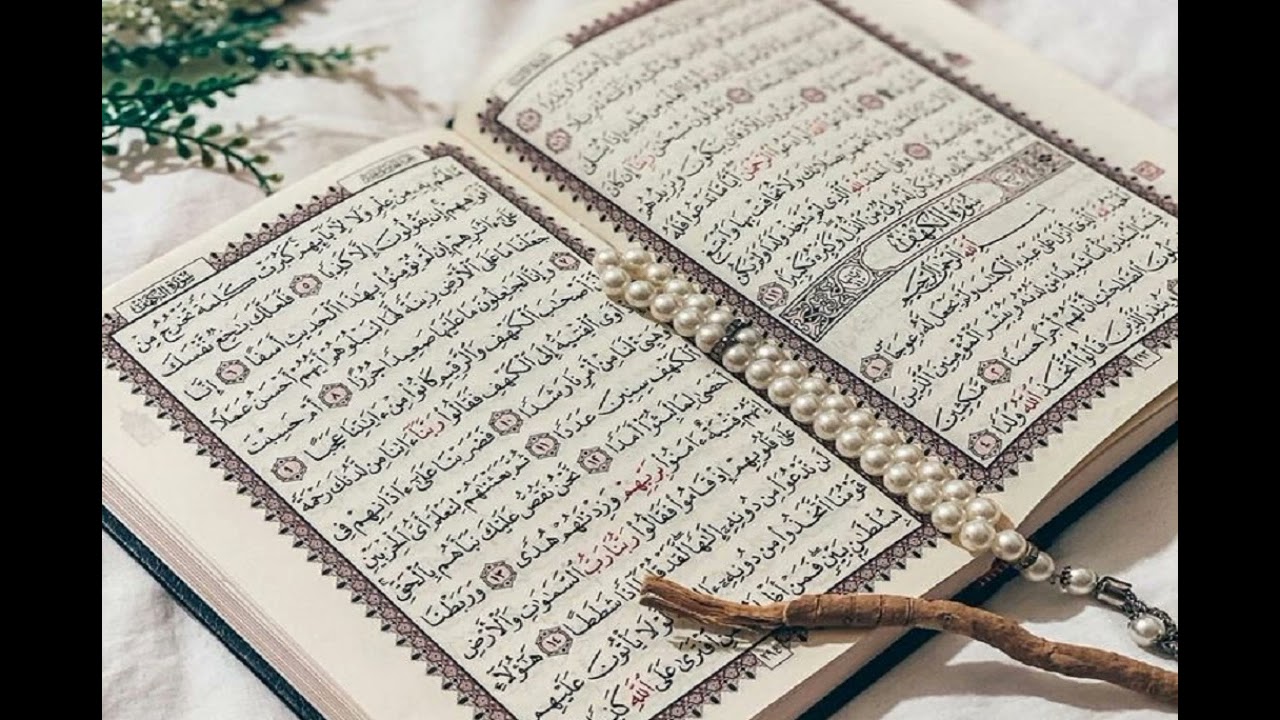 Surah AL-MULK #alquran #beribadah #shorts#penyejukhati  