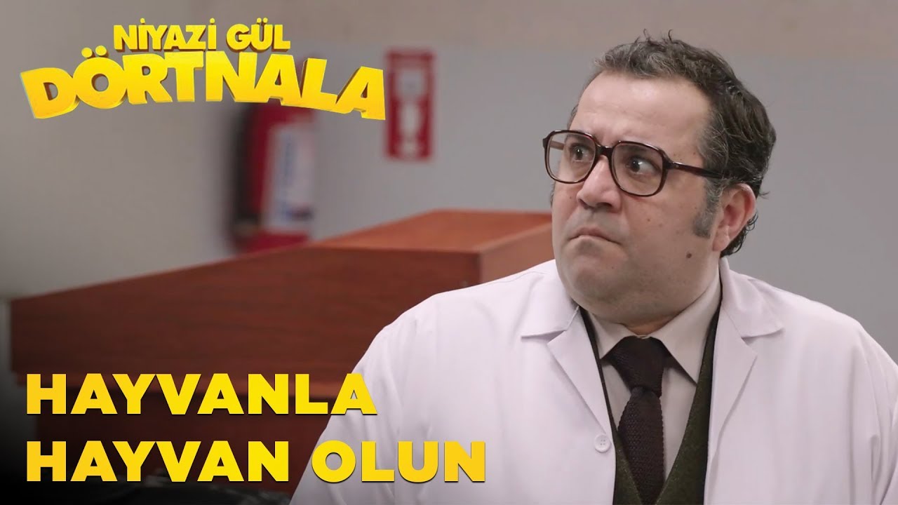 Niyazi Gül Dört Nala | Hayvanla Hayvan Olun