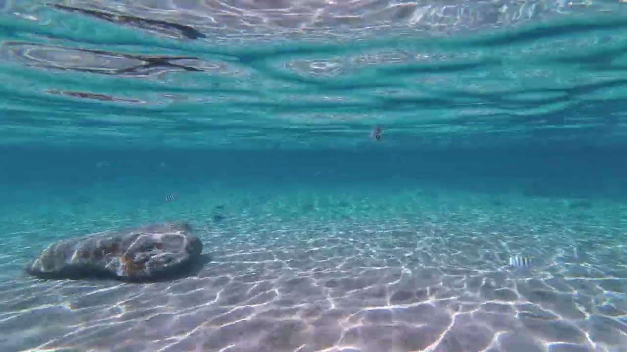 Grand Turk swim 2