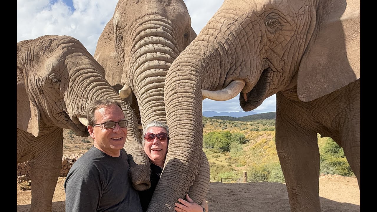 Elephant Experience (Buffelsdrift Game Lodge) South Africa