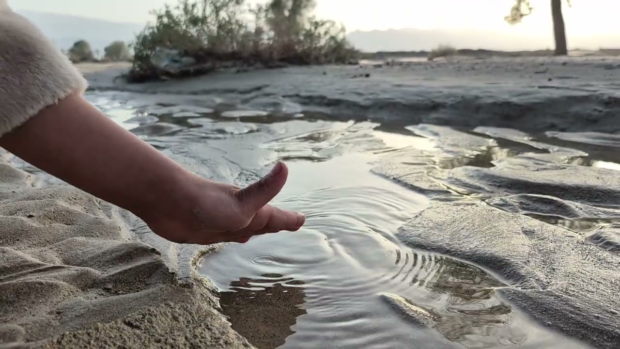 After the rain,the palms breathe; wet earth, a quiet sky.