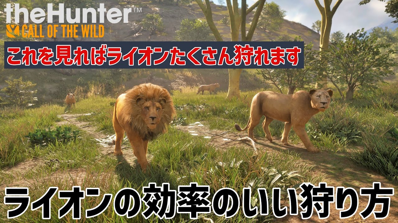 【ザハンターコールオブザワイルド】動物個別ガイド！ライオン編【theHunter: Call of the Wild 】