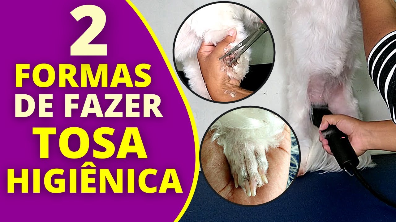 2 MÉTODOS de fazer TOSA HIGIÊNICA para CACHORRO com TESOURA E MAQUINA