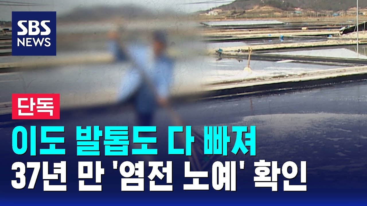 [단독] 이도 발톱도 다 빠져&hellip;37년 만 '염전 노예' 확인 / SBS
