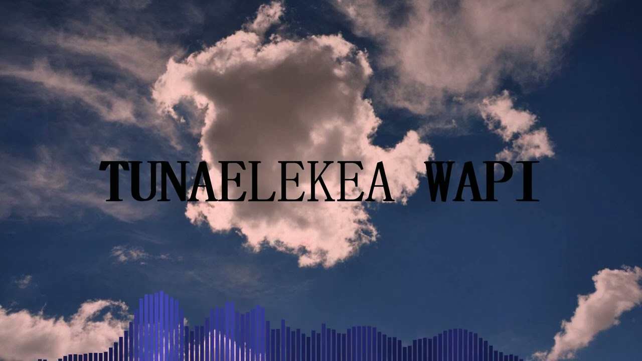 Qadir_Tunaelekea Wapi